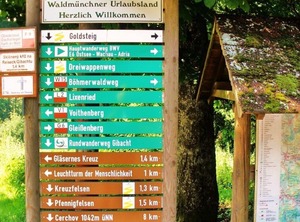 Ferienwohnungen Waldblick | Herzogau