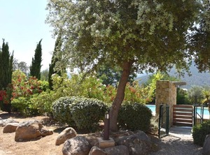 Villa Villas Swimming | Lozari