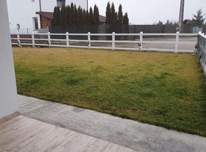 Lovely Cozy Yard | Albestii Paminteni