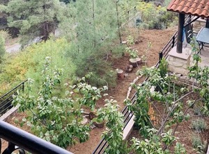 Troodos Mountains | Vasa Koilaniou