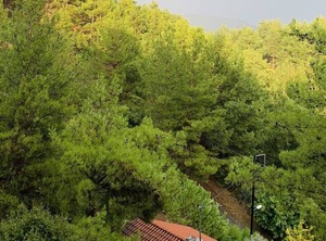 Troodos Mountains | Vasa Koilaniou