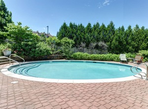 Trail Stratton | Stratton Mountain