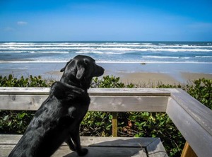 Ocean Escape | South Beach