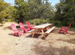 Beach Nature | Milford