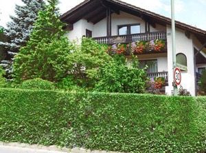 Gästehaus Steiger | Bad Birnbach