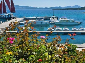 Holiday  Il Mirto Palau | Capo d'Orso