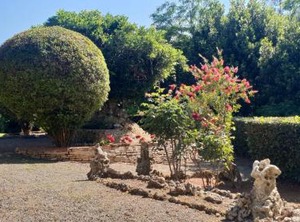 Villa Ott | Tripalle