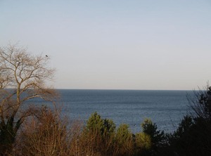 Wechta | Miedzyzdroje