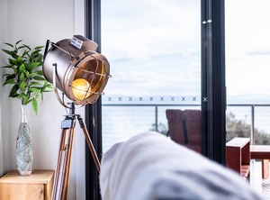 Whale Watcher | Coles Bay