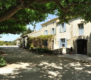 Provence The Heart Of Vines 