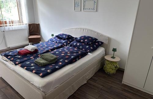Szeged Apartment | Árvíz Apartman
