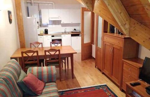 Formigal Apartment | Ático Elurra FORMIGAL