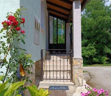 Nedescina Apartment | Âme de la nature