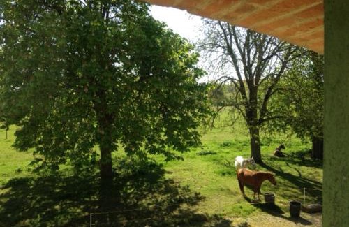 Villemur-sur-Tarn Apartment | écrin de nature