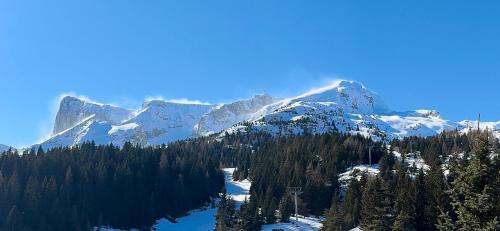 Saint-Etienne-en-Devoluy Apartment | Évasion alpine à Superdévoluy au pied des pistes ski, luge 4 saisons, rando, 2 à 6 personnes