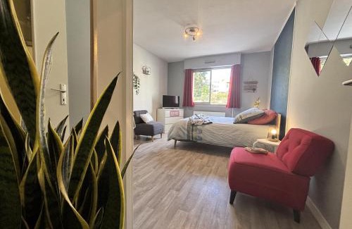 Chatel-Guyon Apartment | Ô repos - Studio - Parking - 1 lit - 2 pers