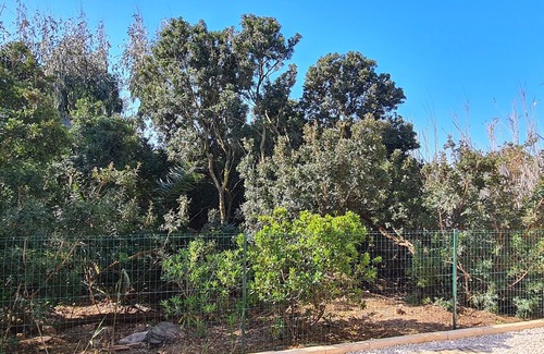 Giens Apartment | Ô Salins Presqu'ile DE Giens Rez-de-jardin 6 Personnes, 150m Plage, Wifi Clim