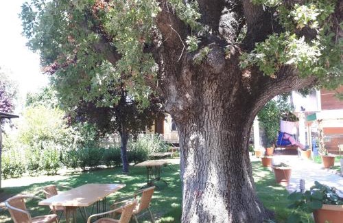Oren Mahallesi Hotel | Ören Konak Otel