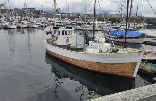 Bodo Boat Rental | Øysteinfjord