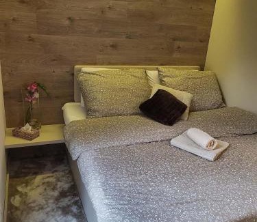 Rokytnice nad Jizerou Apartment | Útulný apartmán Rokytnice nad Jizerou