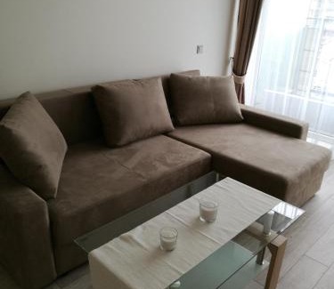 Birstonas Apartment | Ąžuolo apartamentai