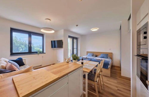 Cerny Dul Apartment | Černý Důl by Interhome