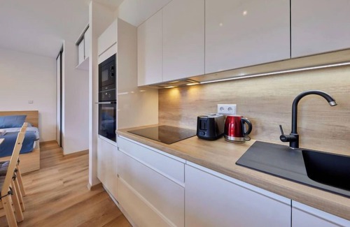 Cerny Dul Apartment | Černý Důl by Interhome