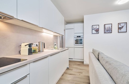Cerny Dul Apartment | Černý Důl by Interhome