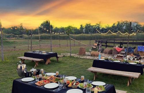 Tan Uyen Town Other | Điểm Hẹn restaurant, cắm trai, sở thú mini farm, câu cá giải trí