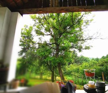 Hegyhatszentjakab House | Őrség Kincse Nagy Apartman - 6 főre