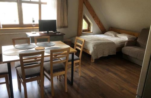 Zieleniec Apartment | Śnieżka