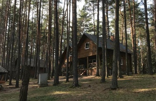Alytus county House | Šaulys