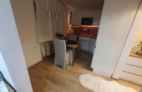 Dubnica nad Vahom Apartment | Štýlový apartmán
