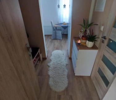 Dubnica nad Vahom Apartment | Štýlový apartmán