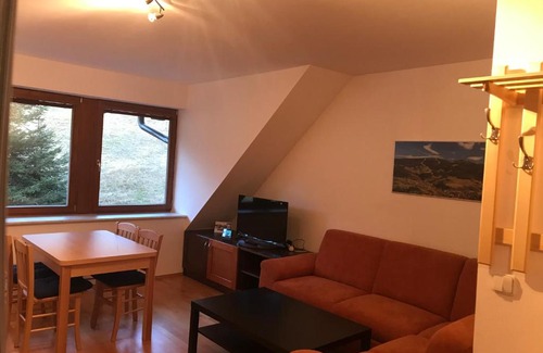 Rokytnice nad Jizerou Apartment | Švadla apartmán