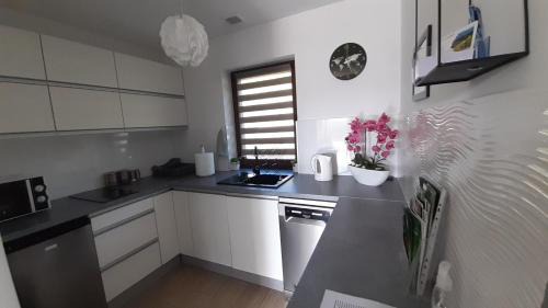 Lesko Apartment | ŹRÓDLANE WZGÓRZE