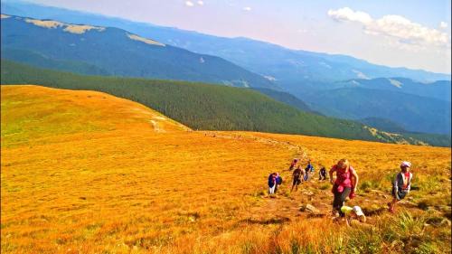 Vorokhta House | Ансол