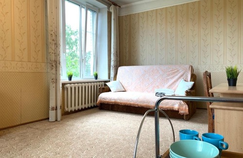 Zvezdnoe Apartment | Апартаменты на Алтайской 19