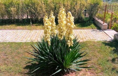 Byala Apartment | Апартамент Лана 2