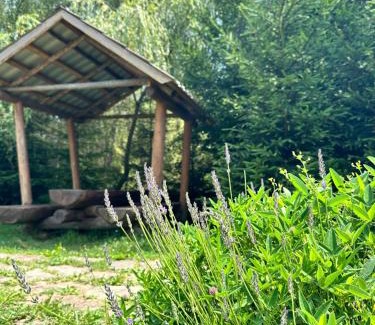 Soymy Hotel | Будинок Художника Шипіт