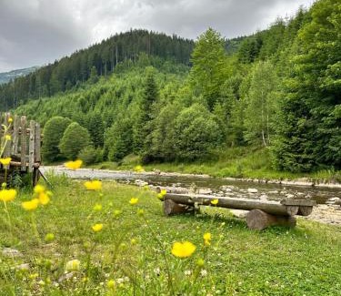 Soymy Hotel | Будинок Художника