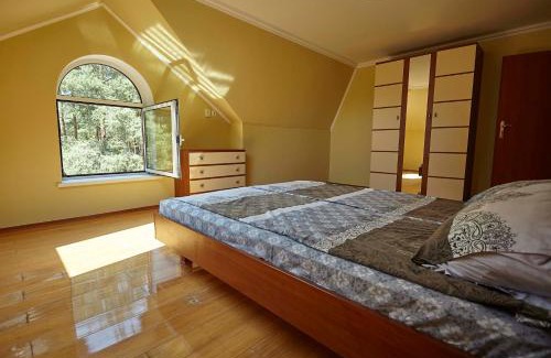 Volyn Oblast Villa | Вілла Лева