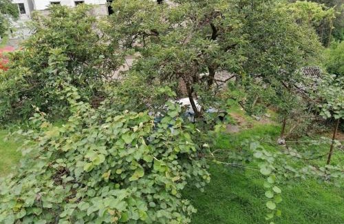 Kobuleti House | Гостевой дом у моря