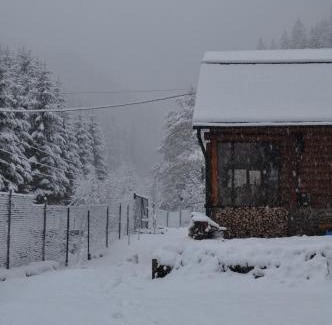 Soymy Ski Chalet | Гостьовий дім Секвойя