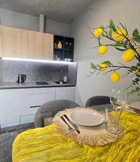 Chernovtsy Apartment | Дворівневий апартамент N8