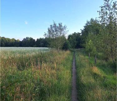 Mammaste House | Домик в лесу