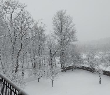 Samtredia Villa | дом в лесу