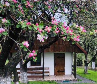 Solochyn House | Еко Дім з СОЛОМИ