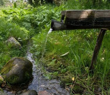 Snidavka House | Жива вода