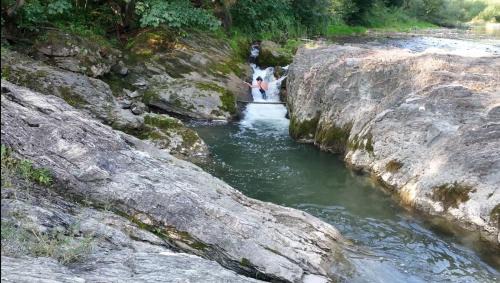 Snidavka House | Жива вода